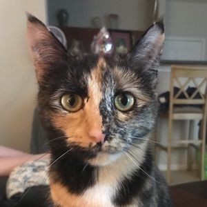 Meet your Posher, Allison